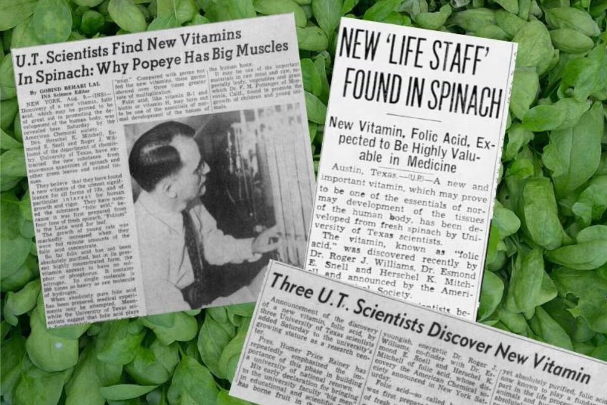 new york times articles
