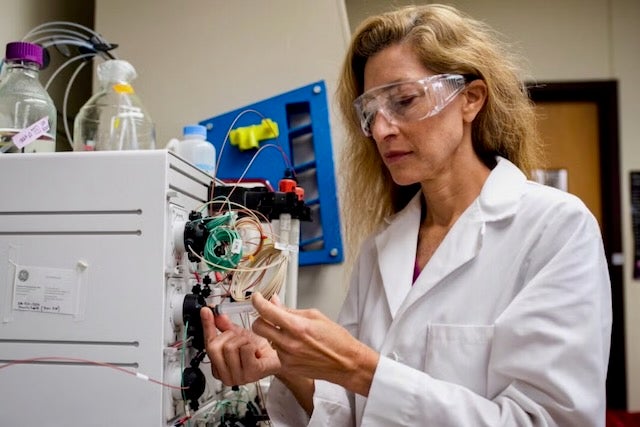 Jennifer Maynard in lab