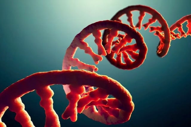 RNA