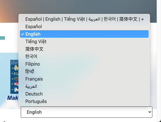 The portal promotes inclusivity by displaying languages in their native names and scripts. 