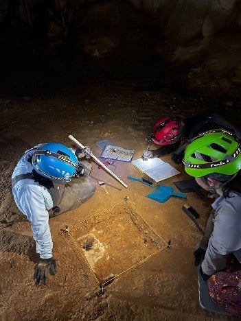 Kemp in excavation