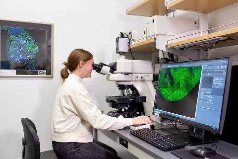 Nikon Ni-E Upright Fluorescence Microscope