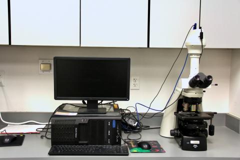 Nikon Eclipse Ni Compound Light Microscope