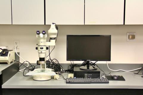 Nikon SMZ800N Stereoscope