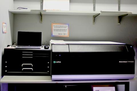 Cytiva Typhoon RGB Imager