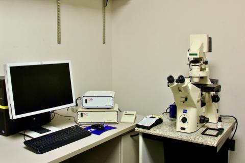 Zeiss Axiovert 200M Fluorescence Microscope