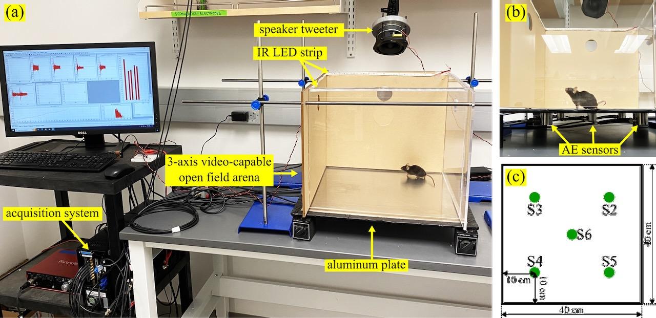 open field chamber setup