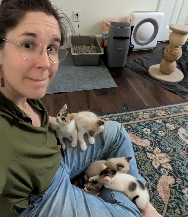 Kim Jennings, with some of her foster kittens