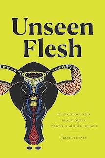 Unseen Flesh: Gynecology And Black Queer Worth Making In Brazil book cover