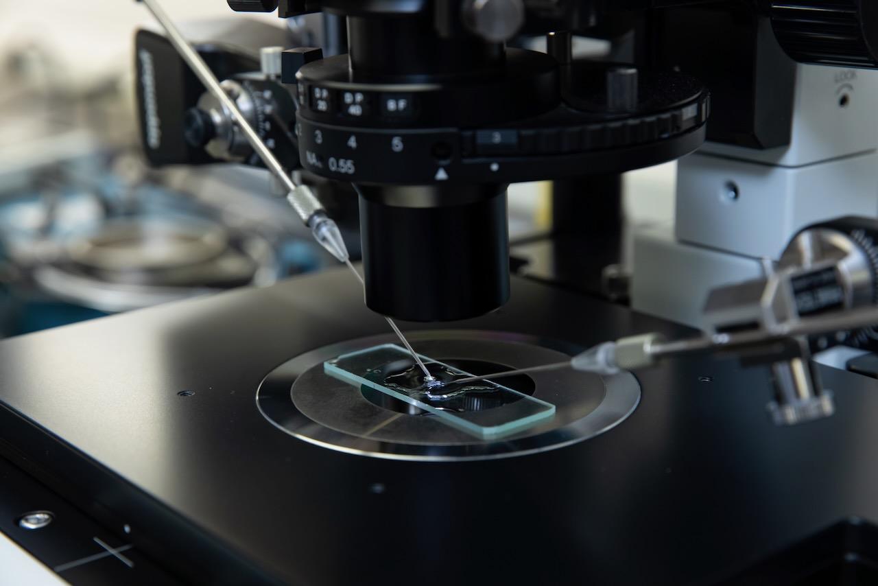 Mouse Genetic Engineering Facility