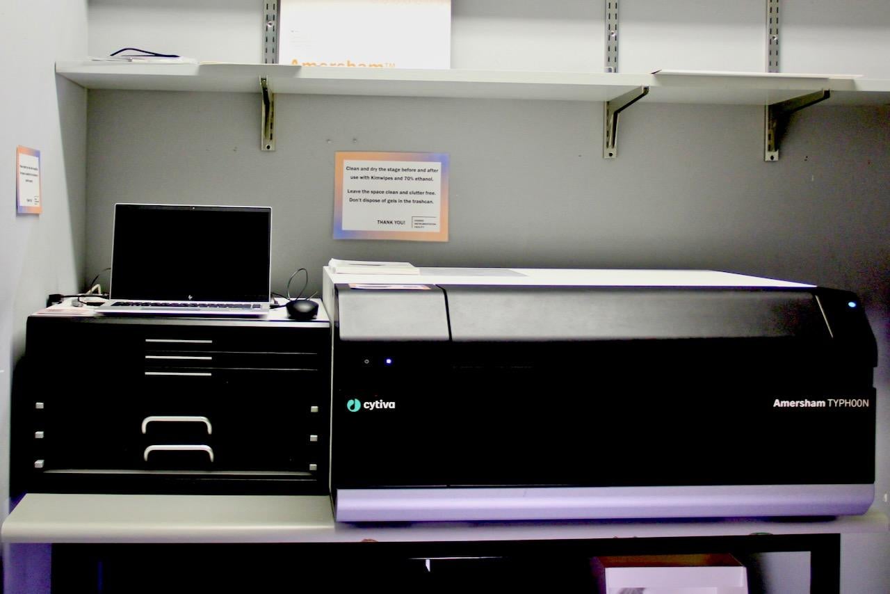Cytiva Typhoon RGB Imager