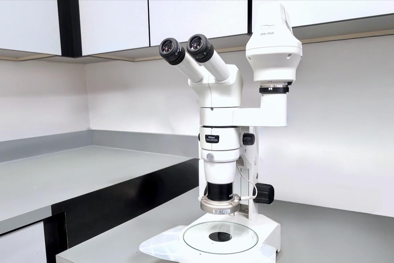 Nikon SMZ800N Stereoscope