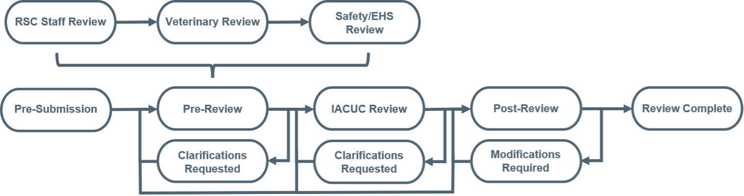 IACUC review phases