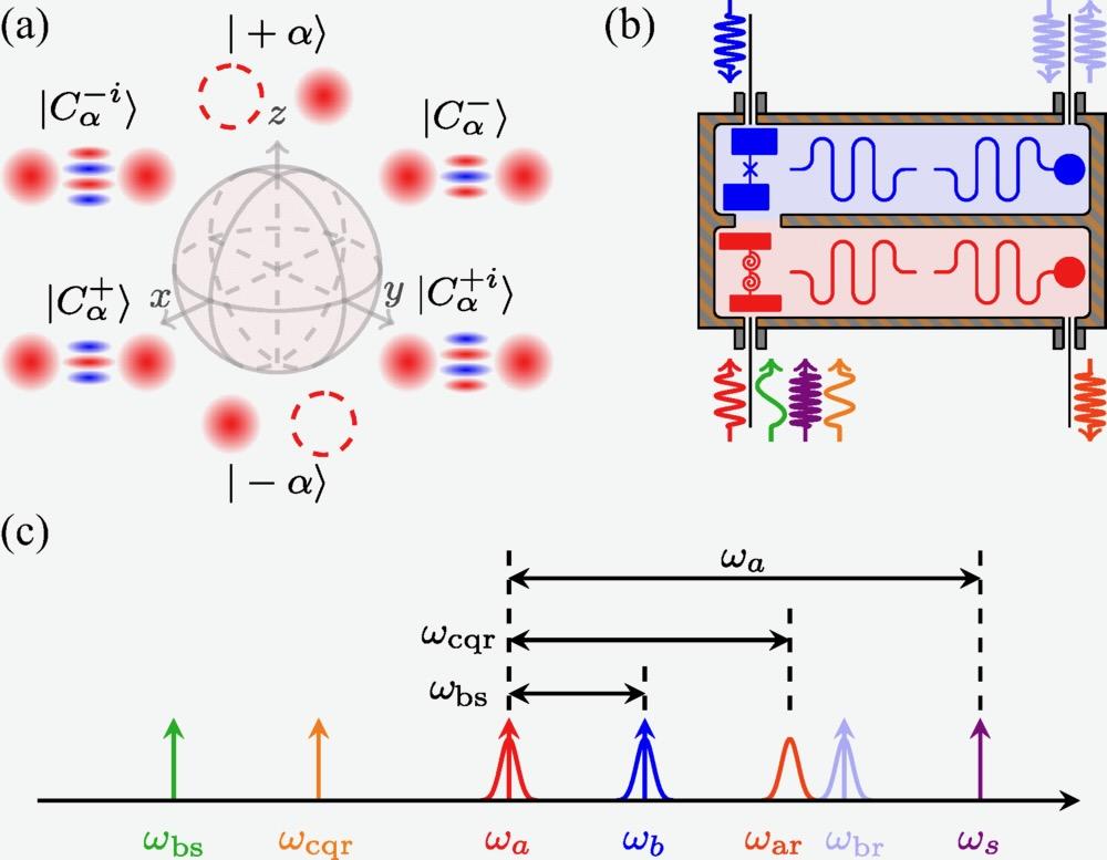 image from the paper, Experimental signatures of a 𝑍̂𝑋̂ beam-splitter interaction between Kerr-cat and transmon qubits